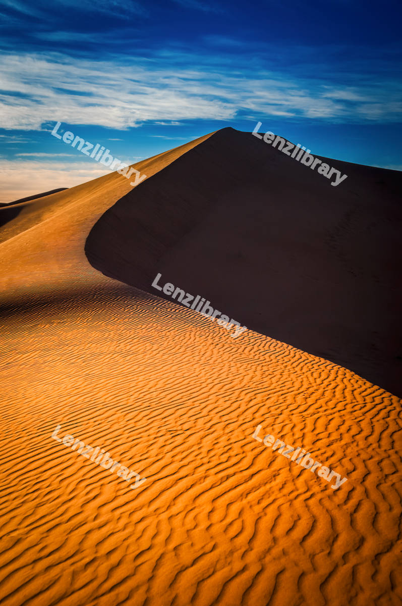 Sahara Desert Dune